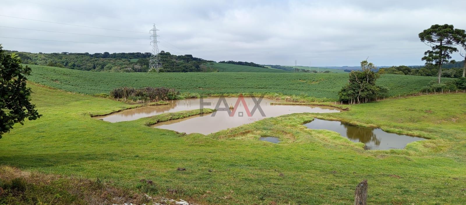 Chácara, 3 quartos - Foto 14