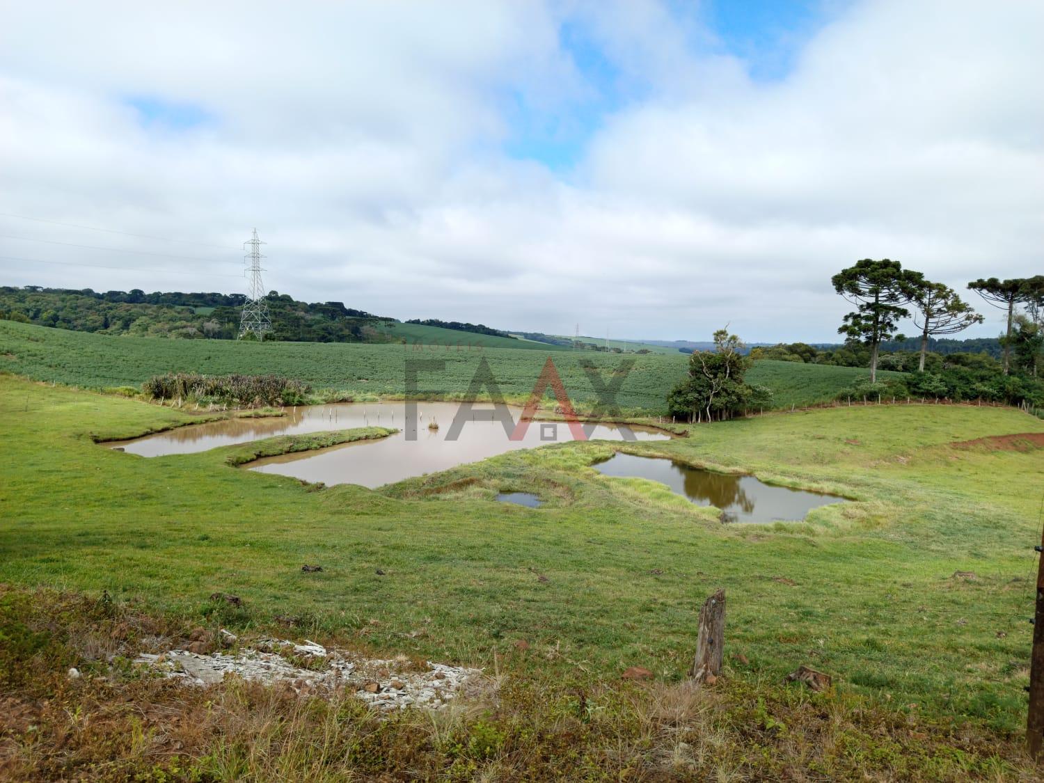 Chácara, 3 quartos - Foto 16