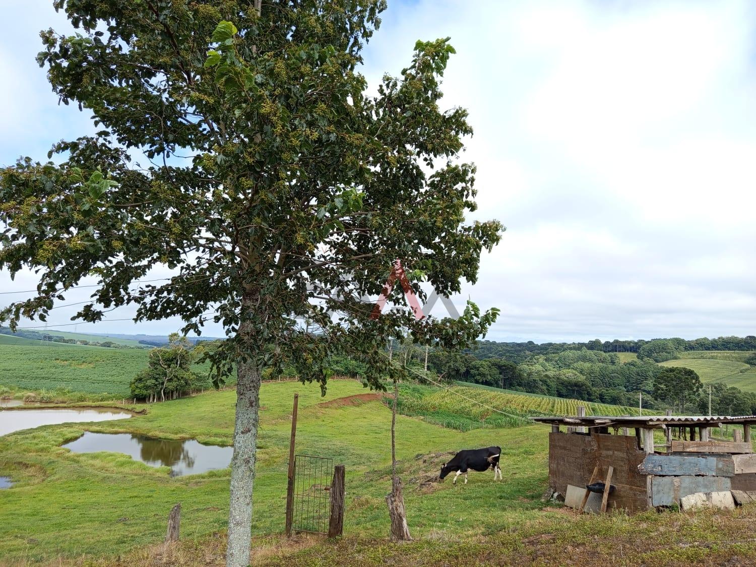 Chácara, 3 quartos - Foto 15