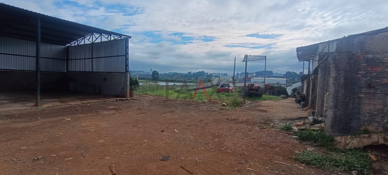 Depósito-Galpão - Foto 3