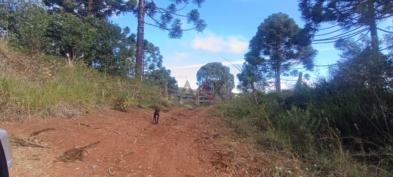 Chácara 18 alqueires próximo a cidade 6 alqueires para  plantil