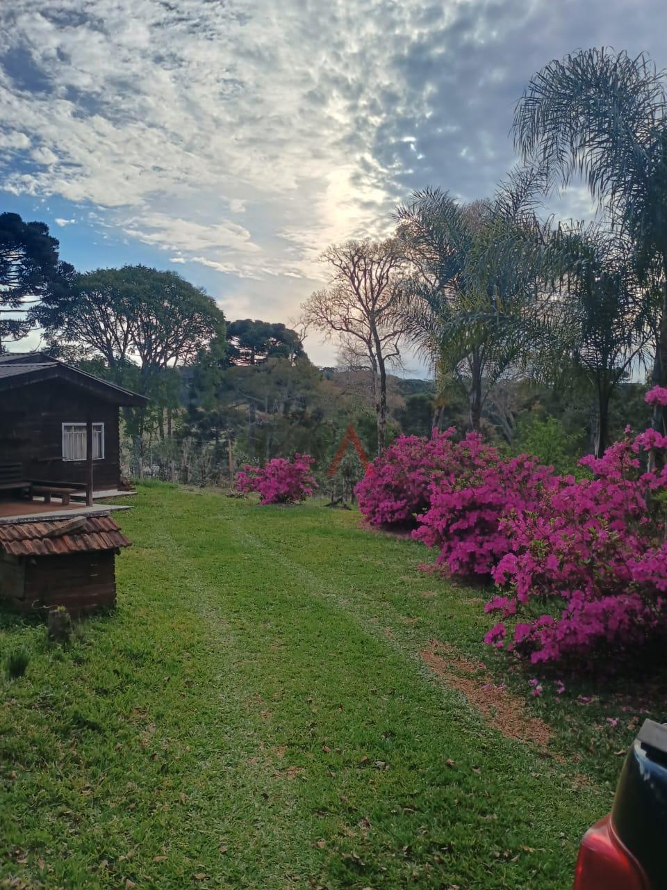 Sítio, 2 quartos, 98800 m² - Foto 6