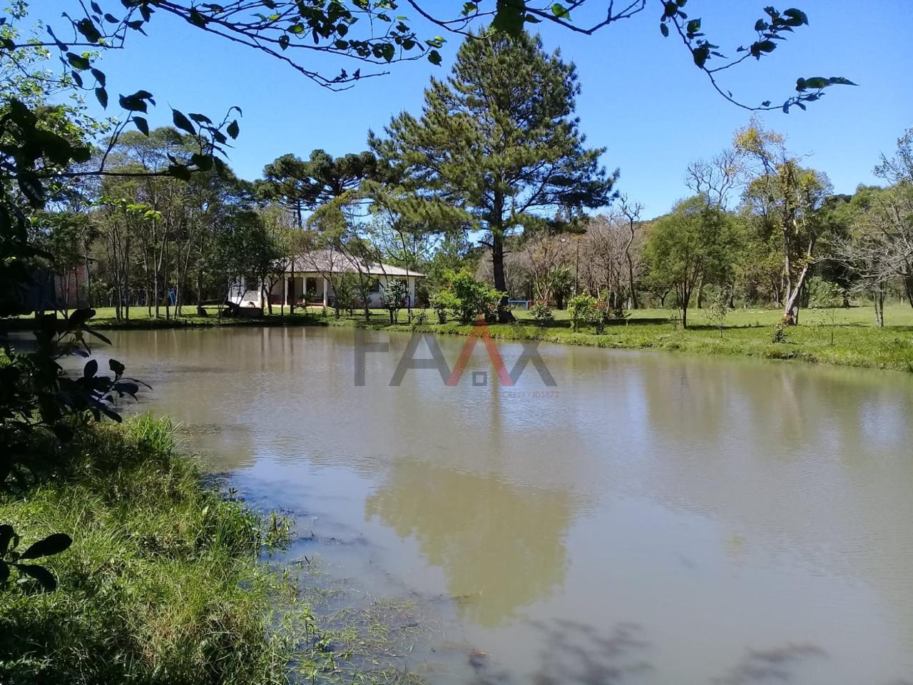 Sítio, 20000 m² - Foto 2