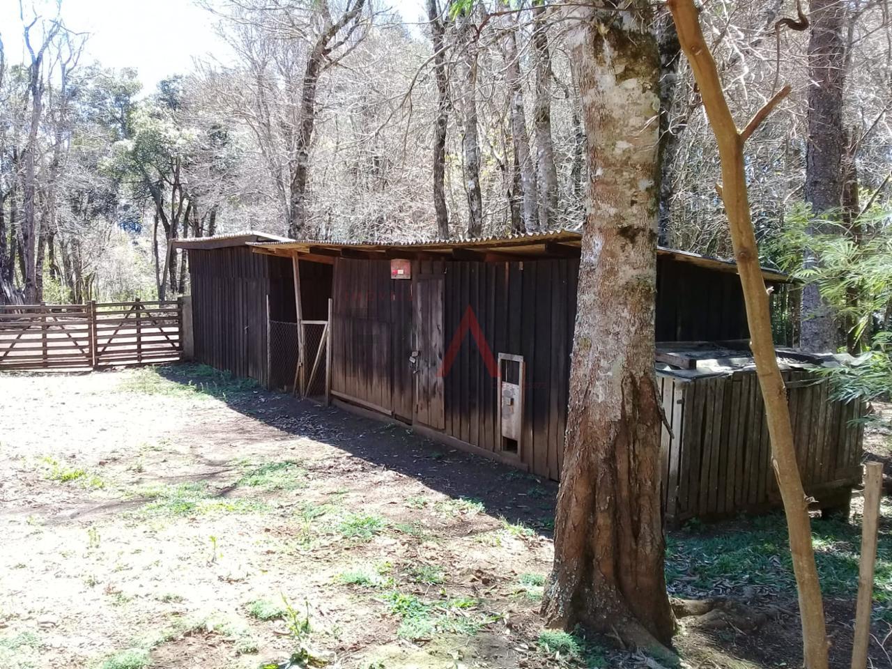 Sítio, 20000 m² - Foto 6
