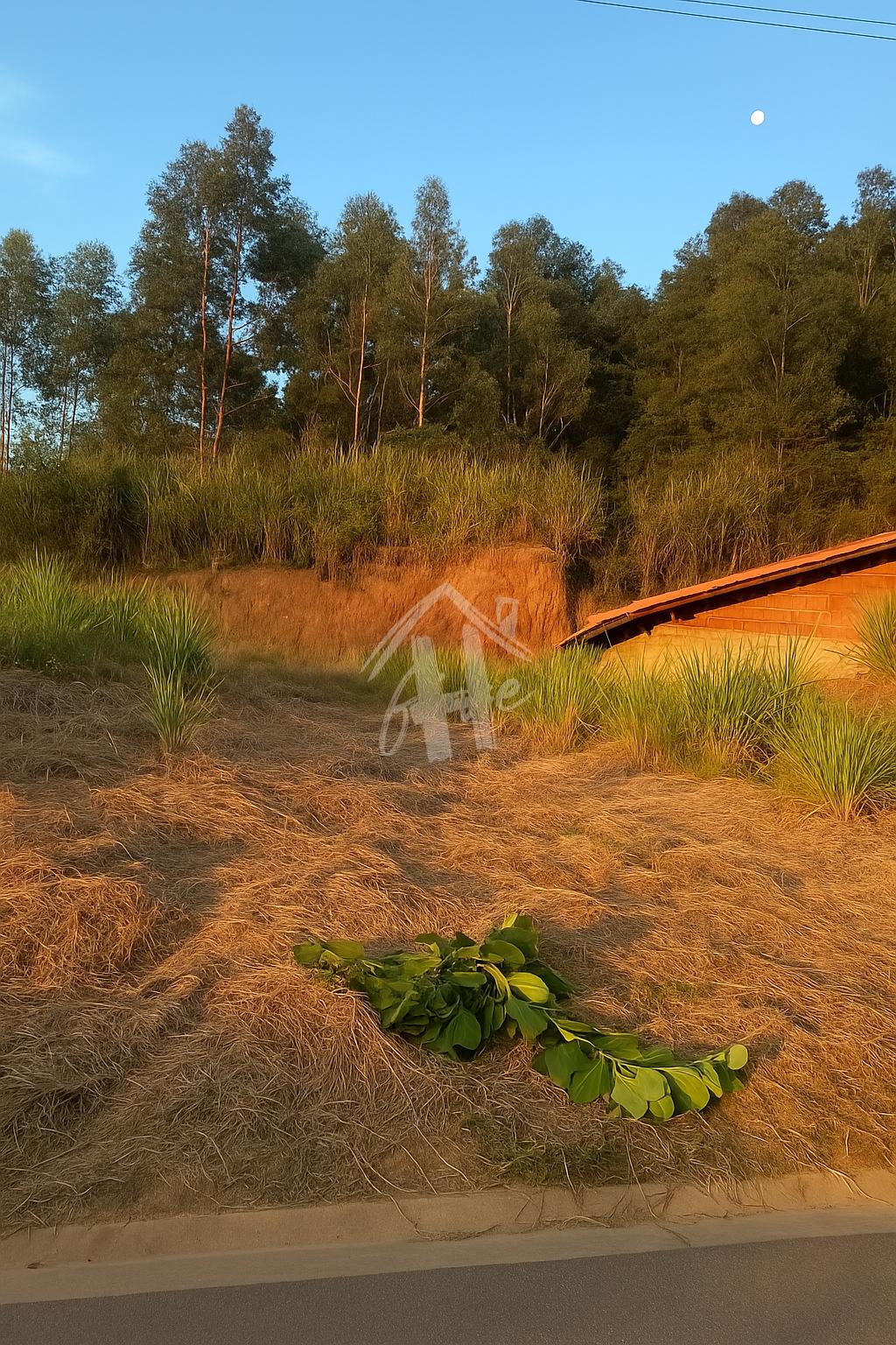 Terreno a venda com 275m2 Bairro Jardim das Ang?licas - Cidade...