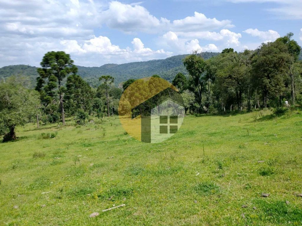 VENDE-SE FAZENDA