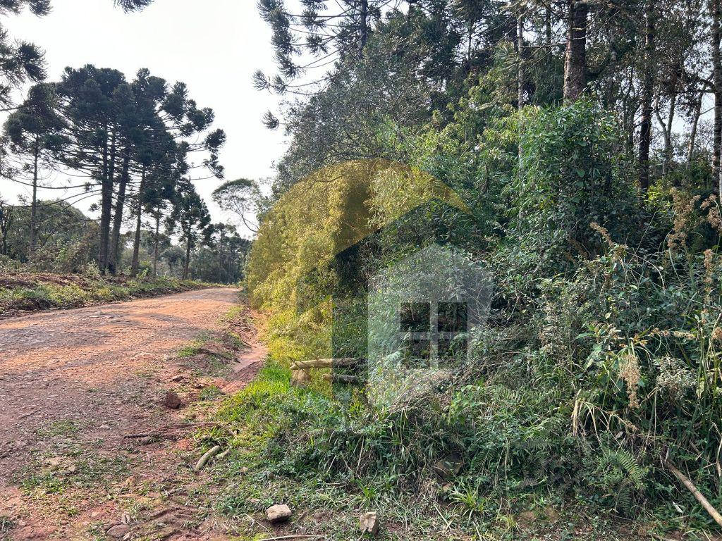 VENDE-SE ?REA RURAL EM CORONEL DOMINGOS SOARES