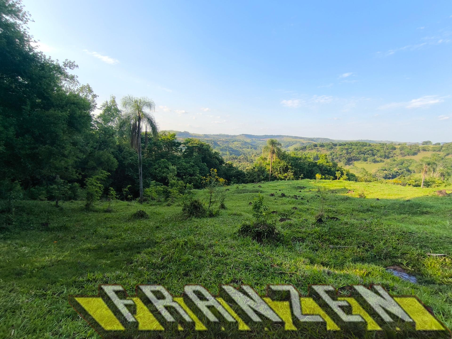 SITIO A VENDA , ZONA RURAL, QUEDAS DO IGUACU PARA PECUÁRIA DE ...