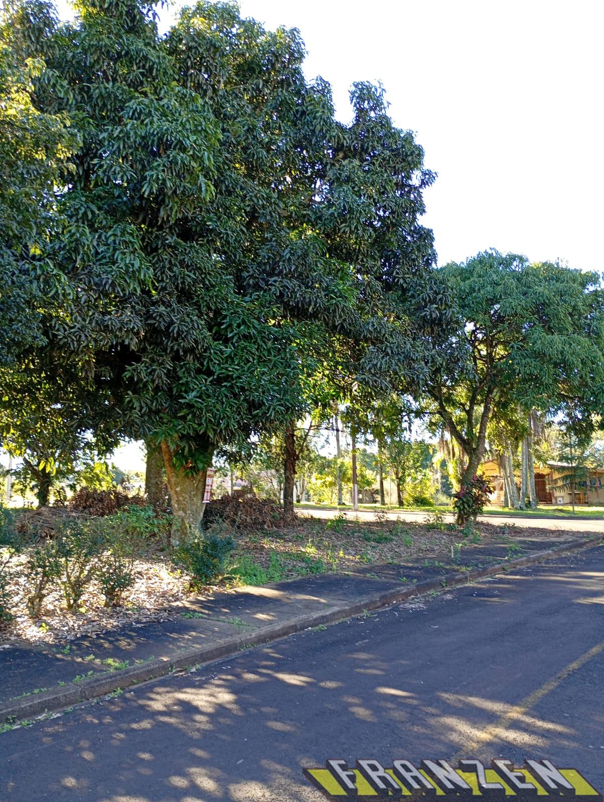 LOTE A VENDA NO LOTEAMENTO SALTO OS?RIO, AMBLO E ACONCHEGANTE