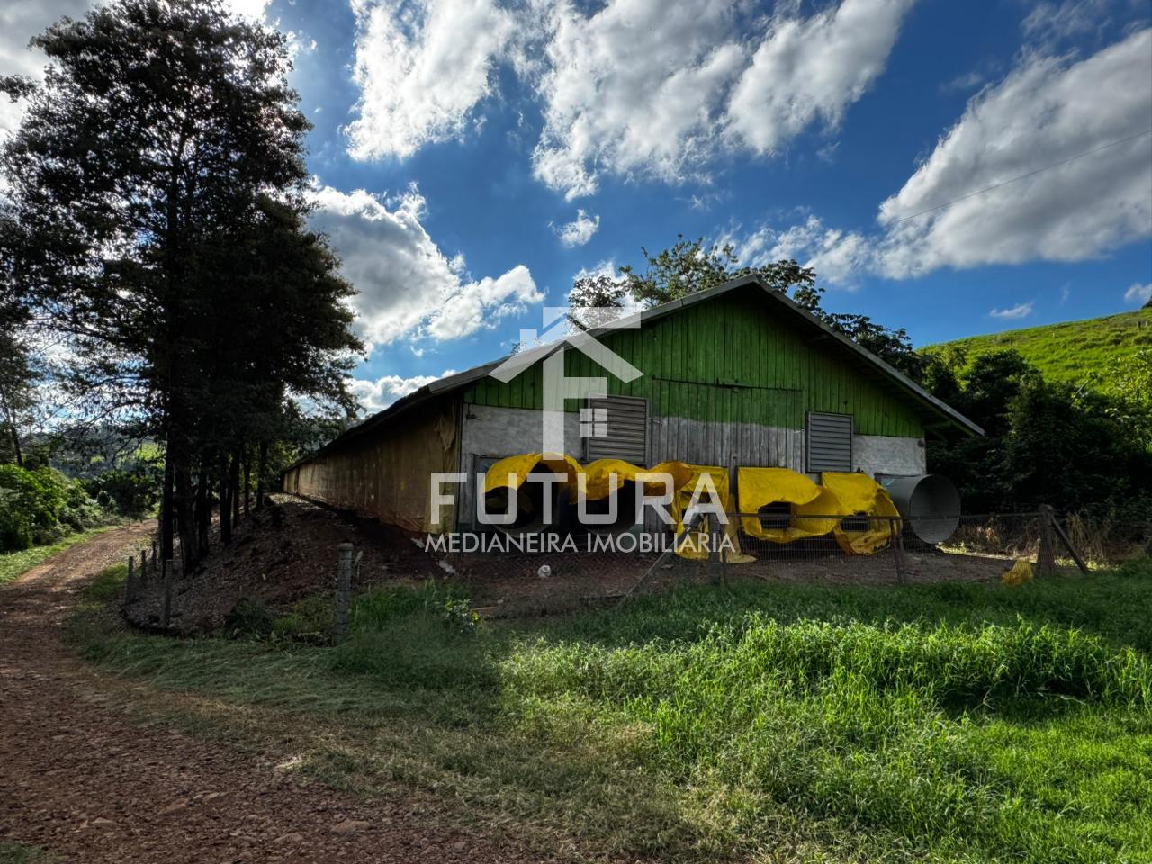 Chácara com 3 dormitórios à venda, LINHA SOL E OURO, MEDIANEIRA - PR