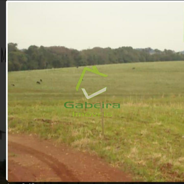 Gabeira Imveis em Coronel Vivida PR
