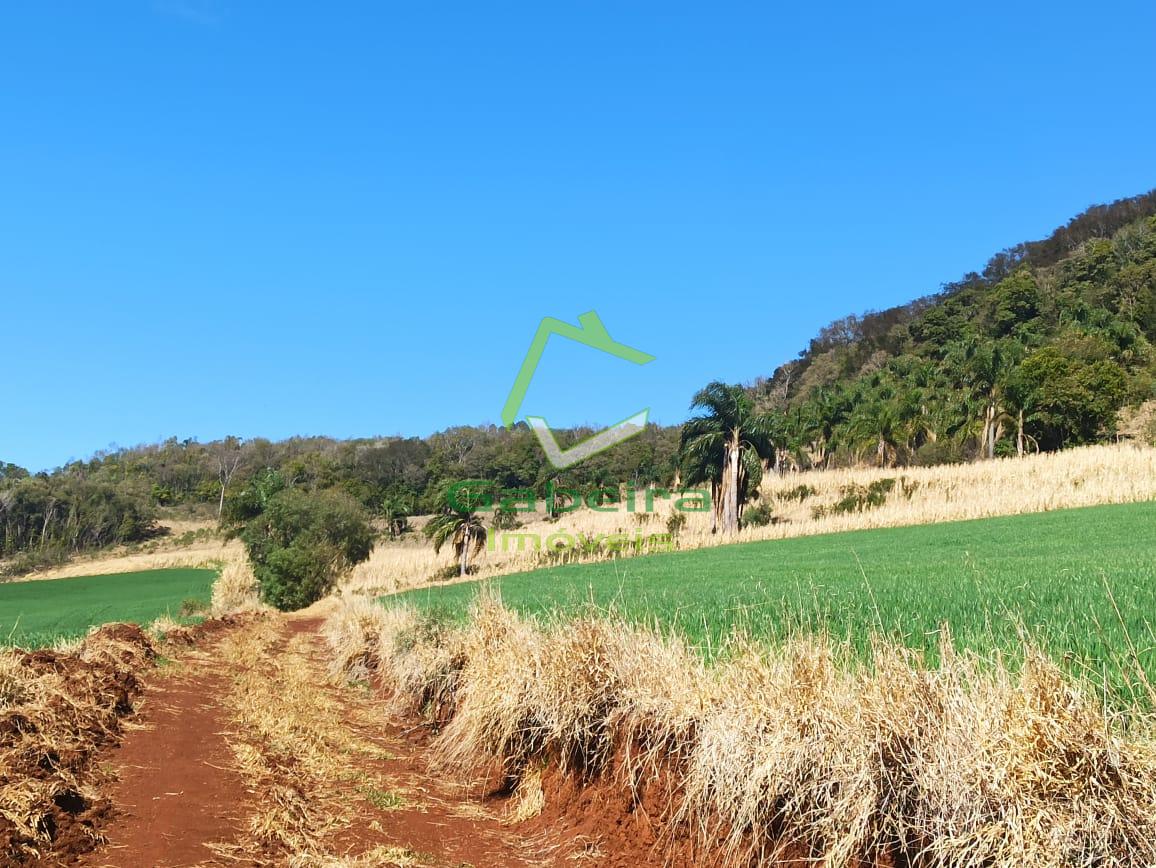 Gabeira Imveis em Coronel Vivida PR
