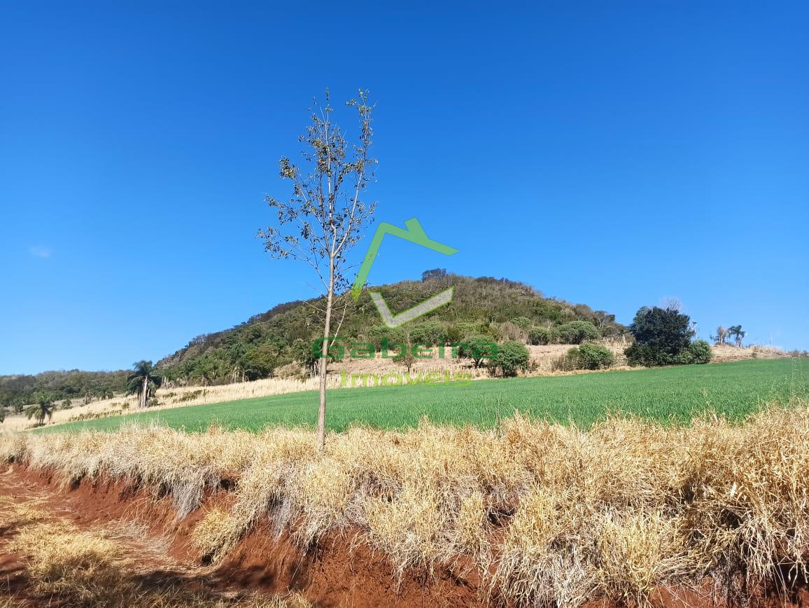 Gabeira Imveis em Coronel Vivida PR