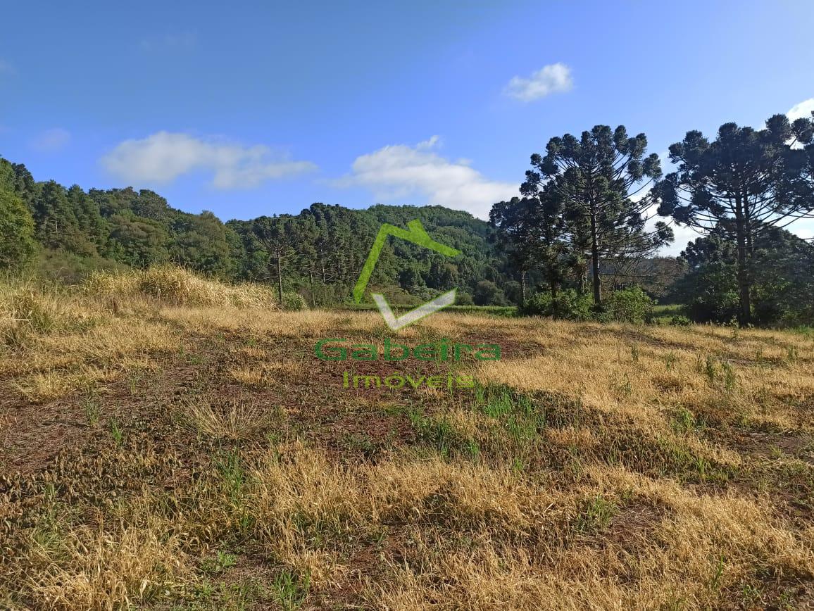 Gabeira Imveis em Coronel Vivida PR