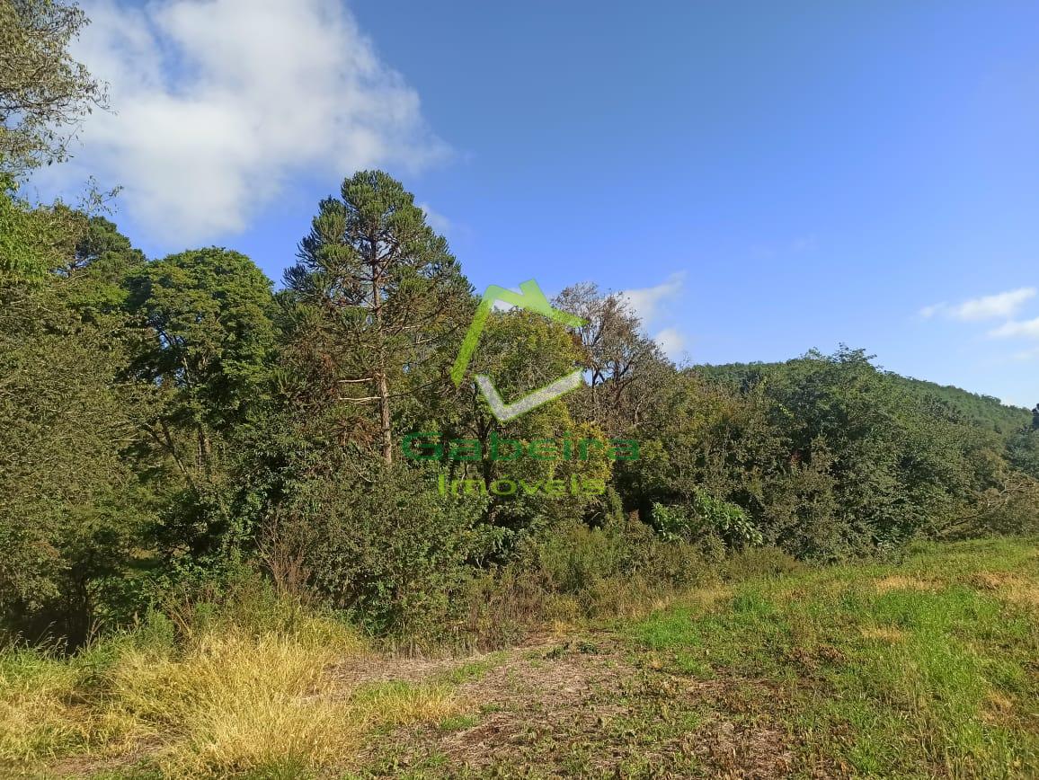 Gabeira Imveis em Coronel Vivida PR