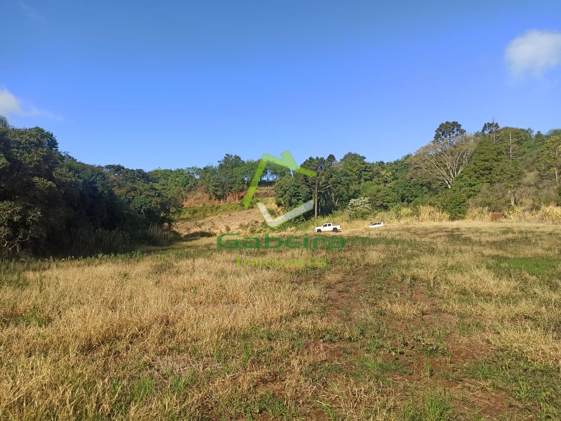 Gabeira Imveis em Coronel Vivida PR