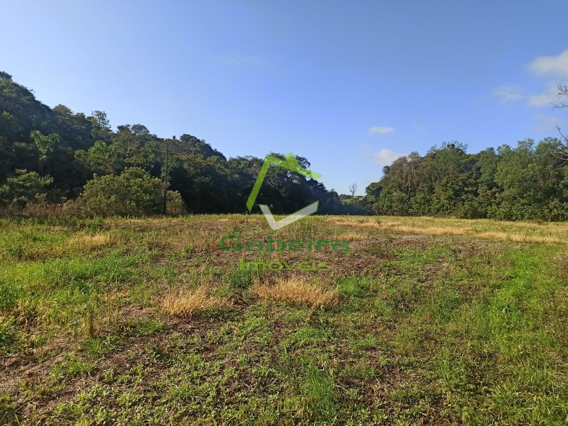 ZONA RURAL, CORONEL VIVIDA - PR