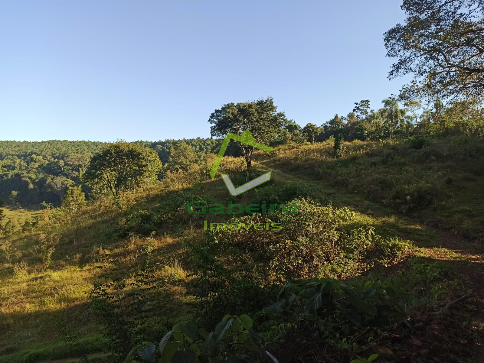 Gabeira Imóveis em Coronel Vivida PR