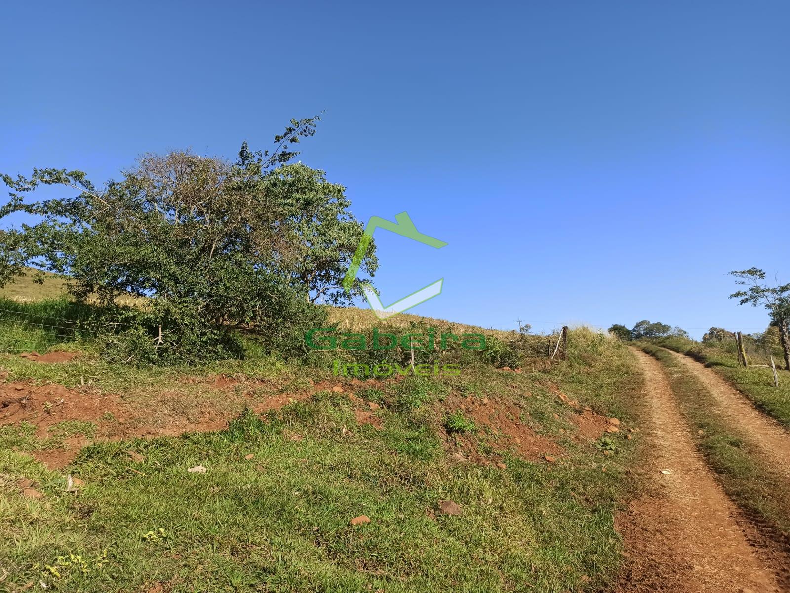 Gabeira Imóveis em Coronel Vivida PR