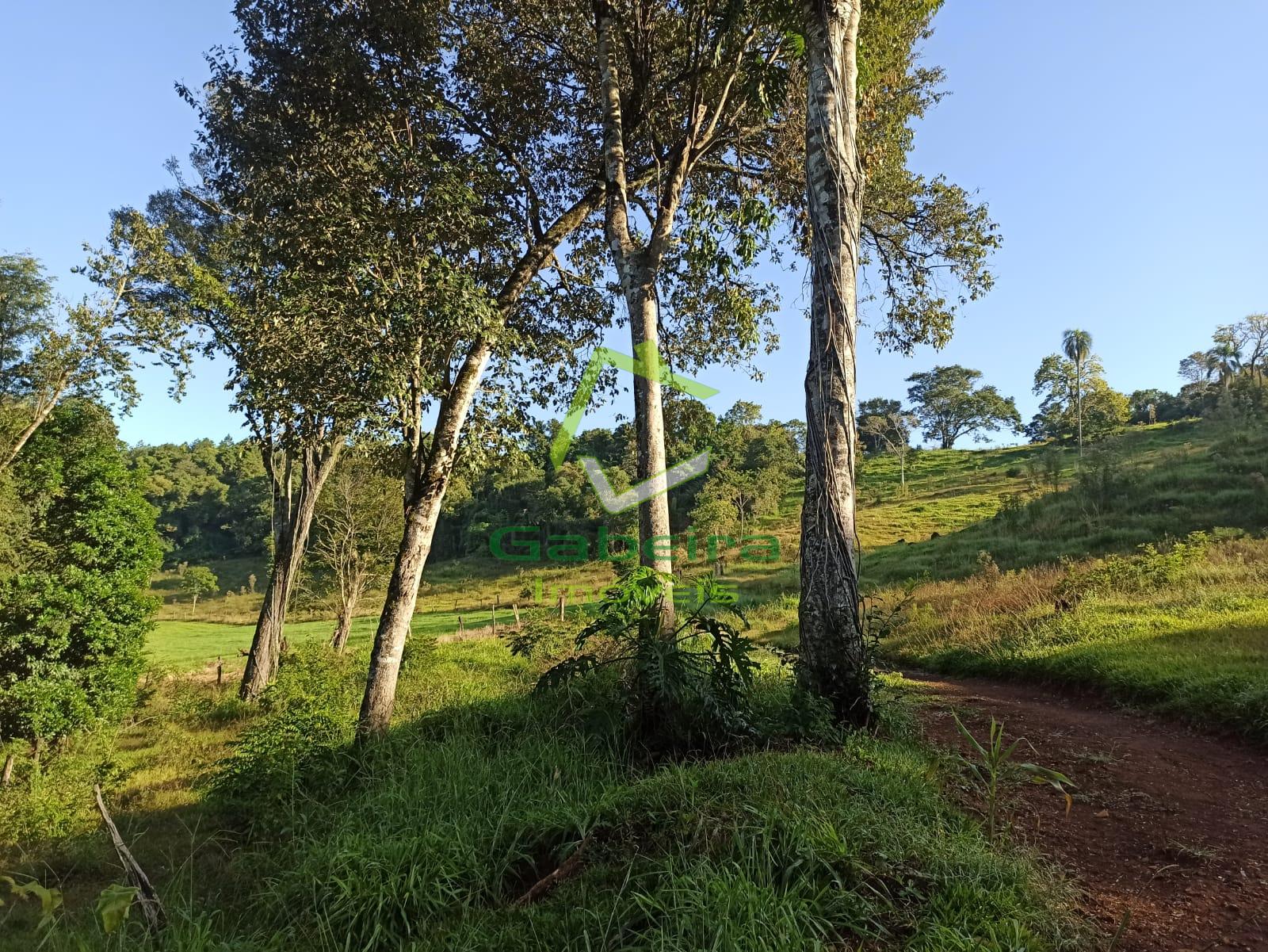 Gabeira Imóveis em Coronel Vivida PR