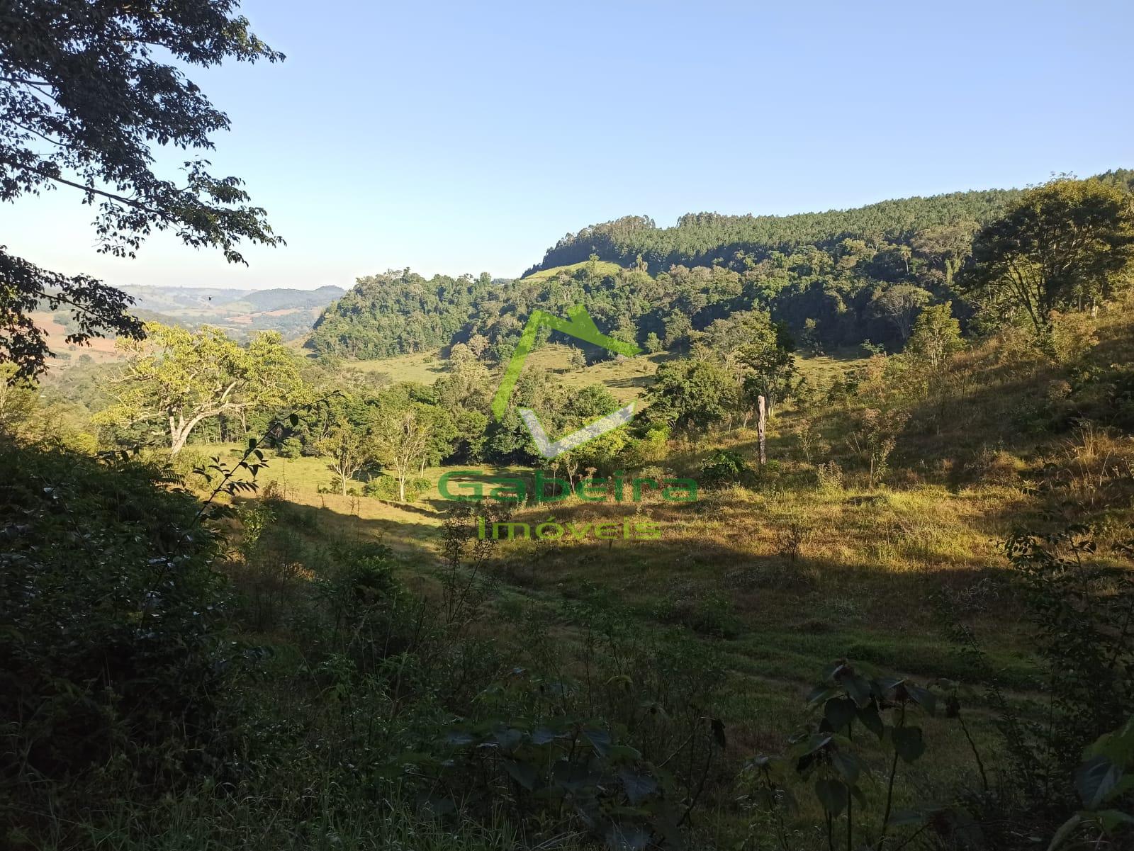 Gabeira Imóveis em Coronel Vivida PR