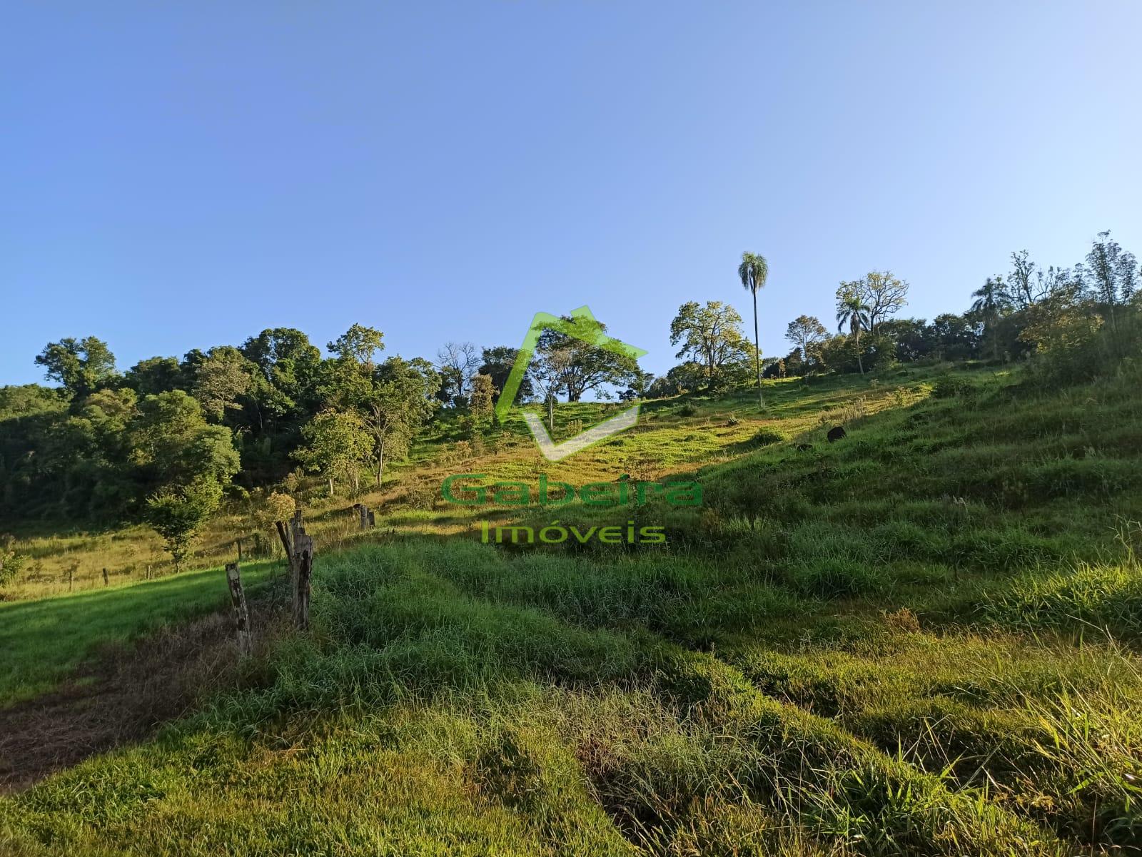 Gabeira Imóveis em Coronel Vivida PR