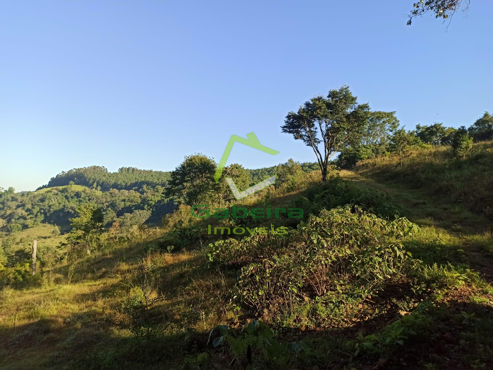 Gabeira Imóveis em Coronel Vivida PR