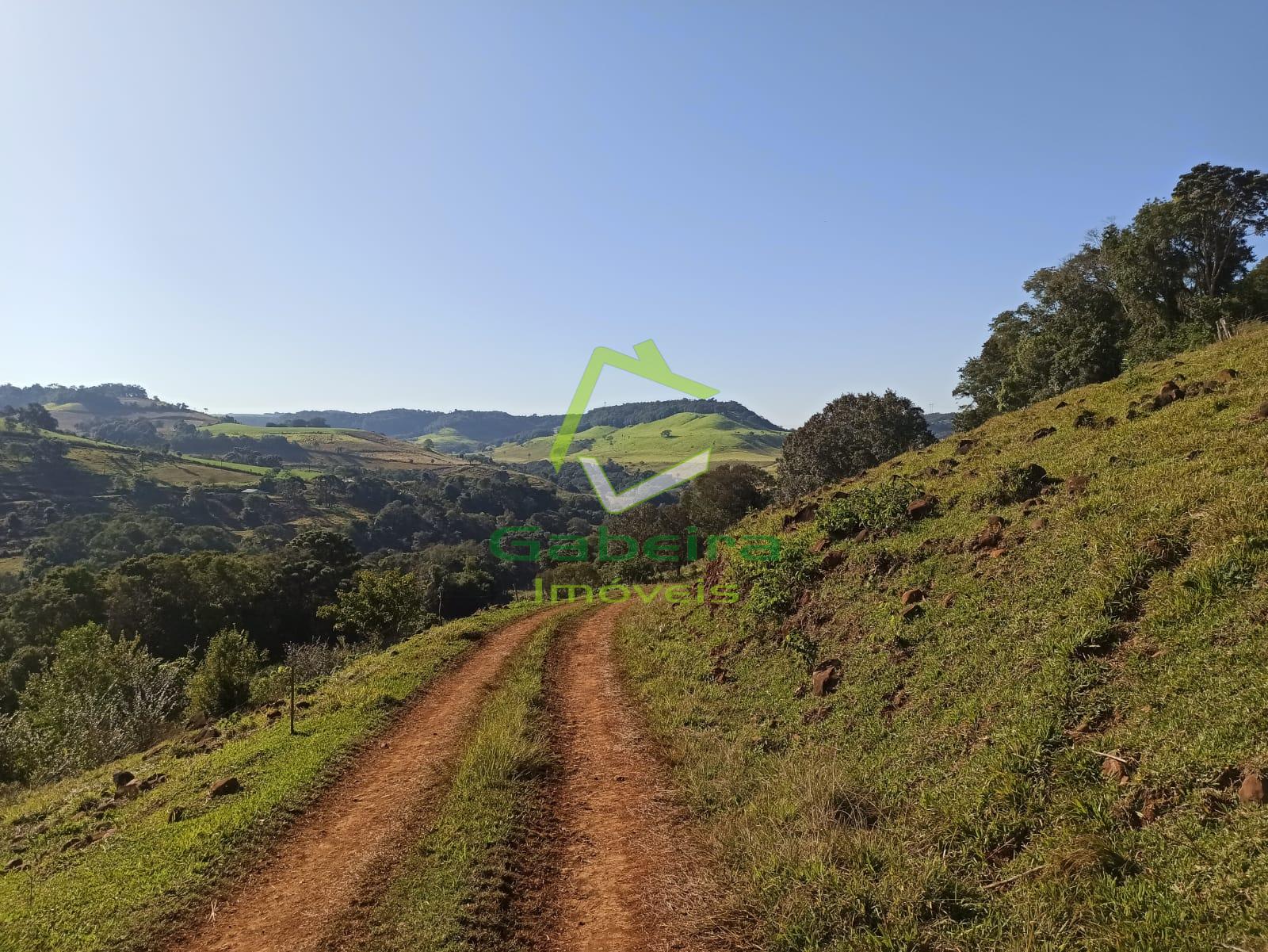 Gabeira Imóveis em Coronel Vivida PR