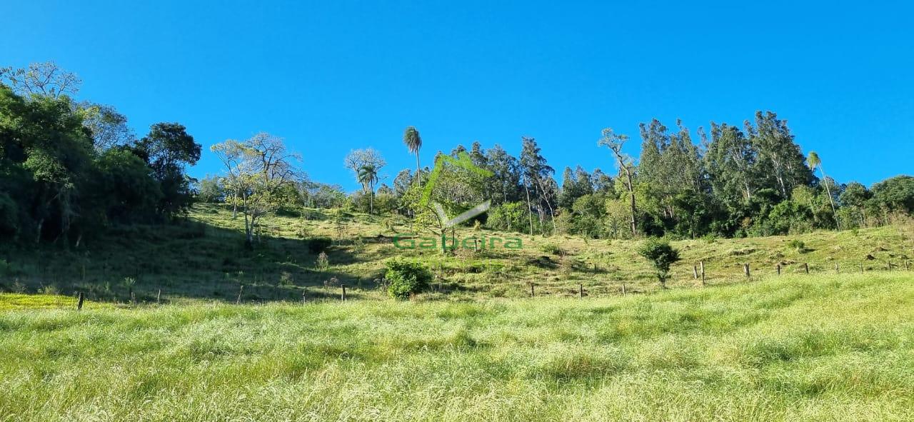 Gabeira Imóveis em Coronel Vivida PR