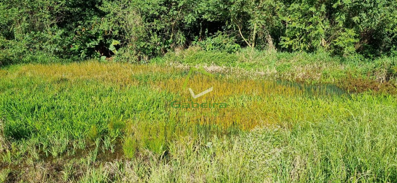 Gabeira Imóveis em Coronel Vivida PR
