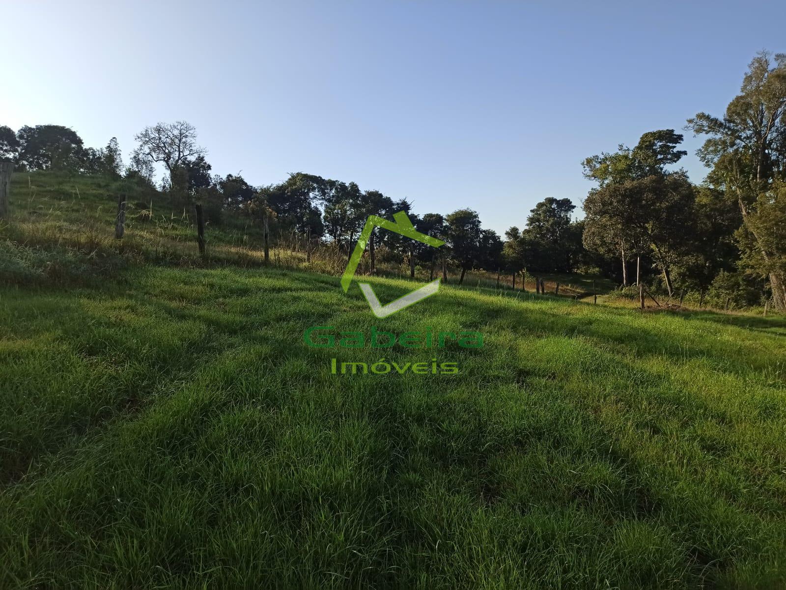 Gabeira Imóveis em Coronel Vivida PR