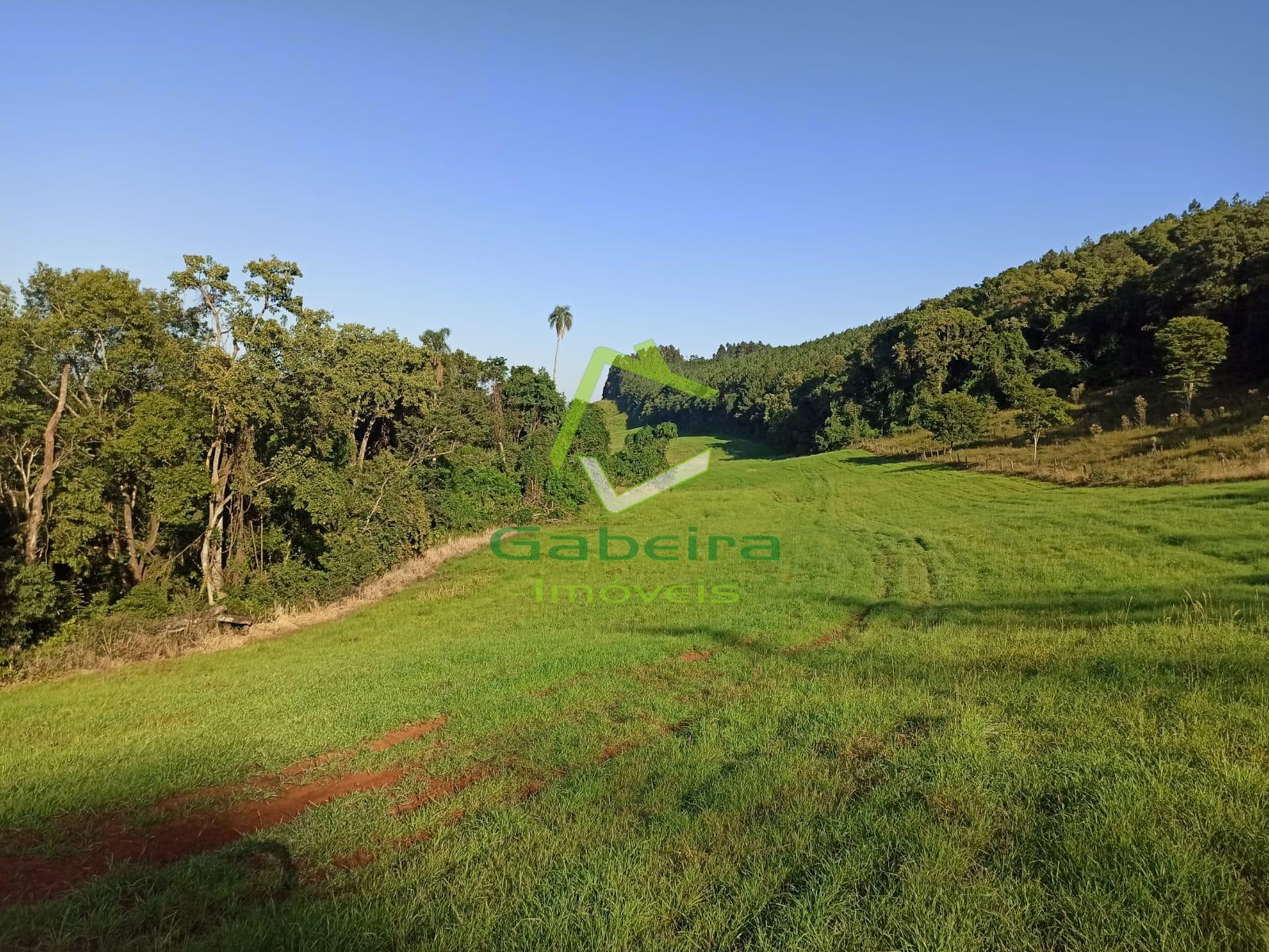 Gabeira Imóveis em Coronel Vivida PR