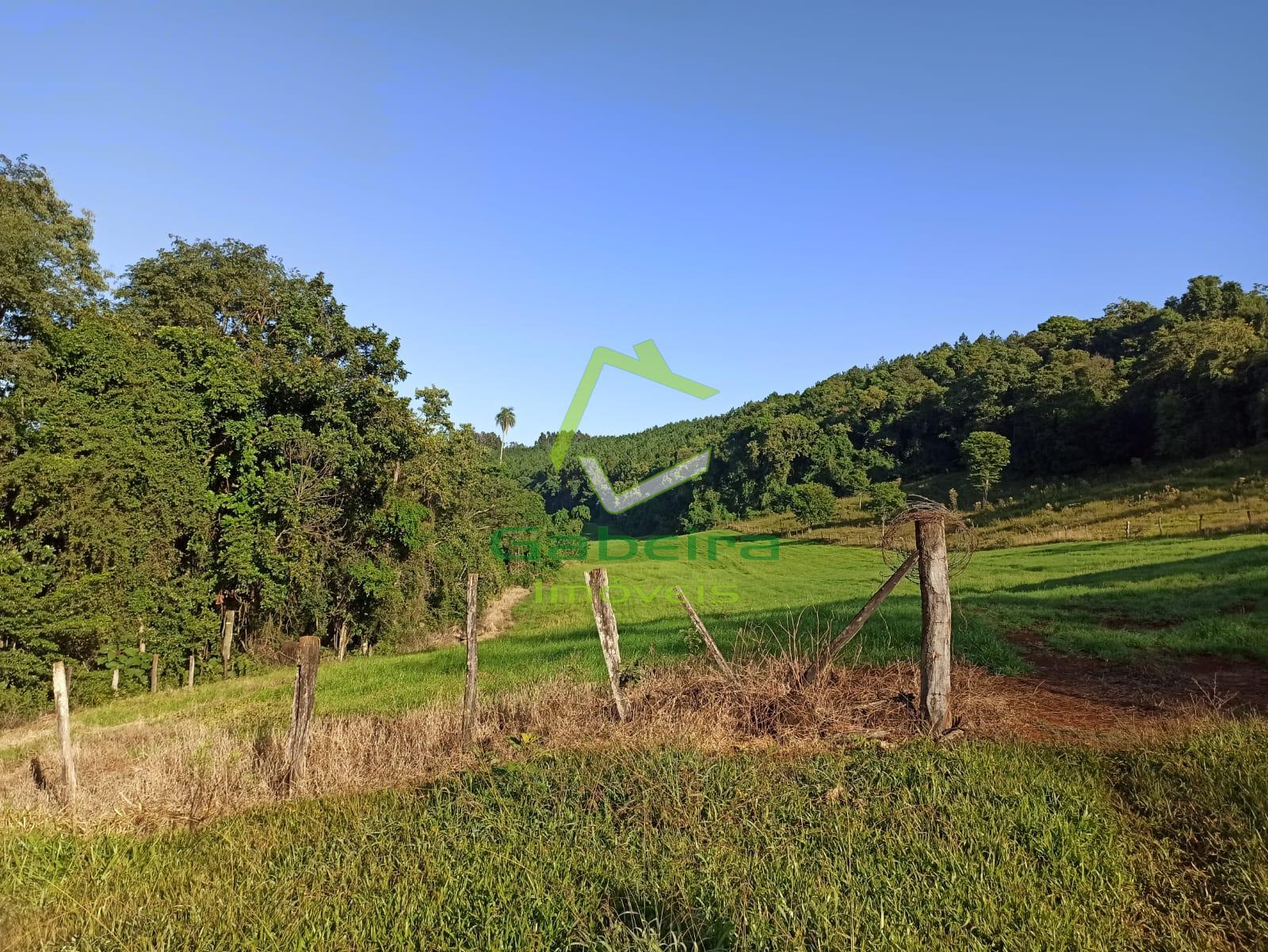 Gabeira Imóveis em Coronel Vivida PR