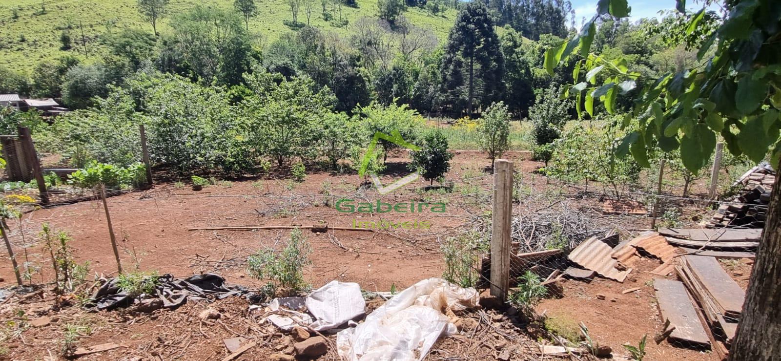 Gabeira Imveis em Coronel Vivida PR