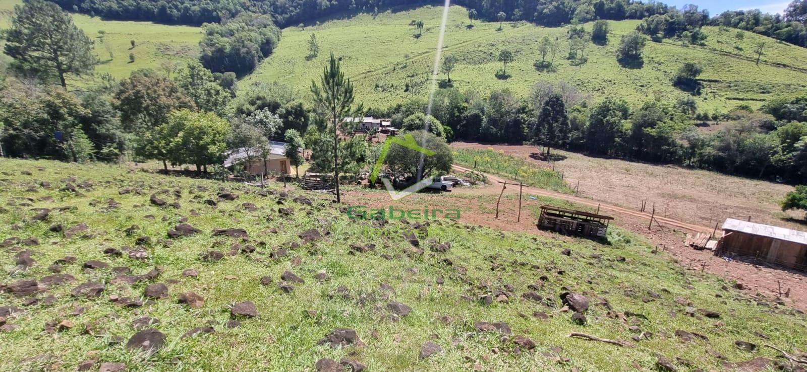 Gabeira Imveis em Coronel Vivida PR