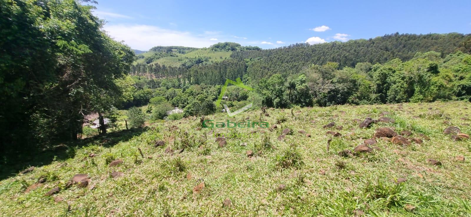 Gabeira Imveis em Coronel Vivida PR