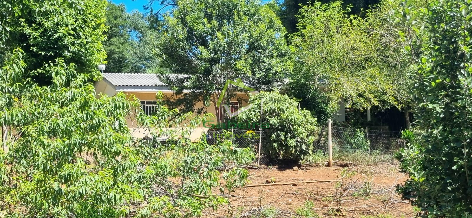 Gabeira Imveis em Coronel Vivida PR