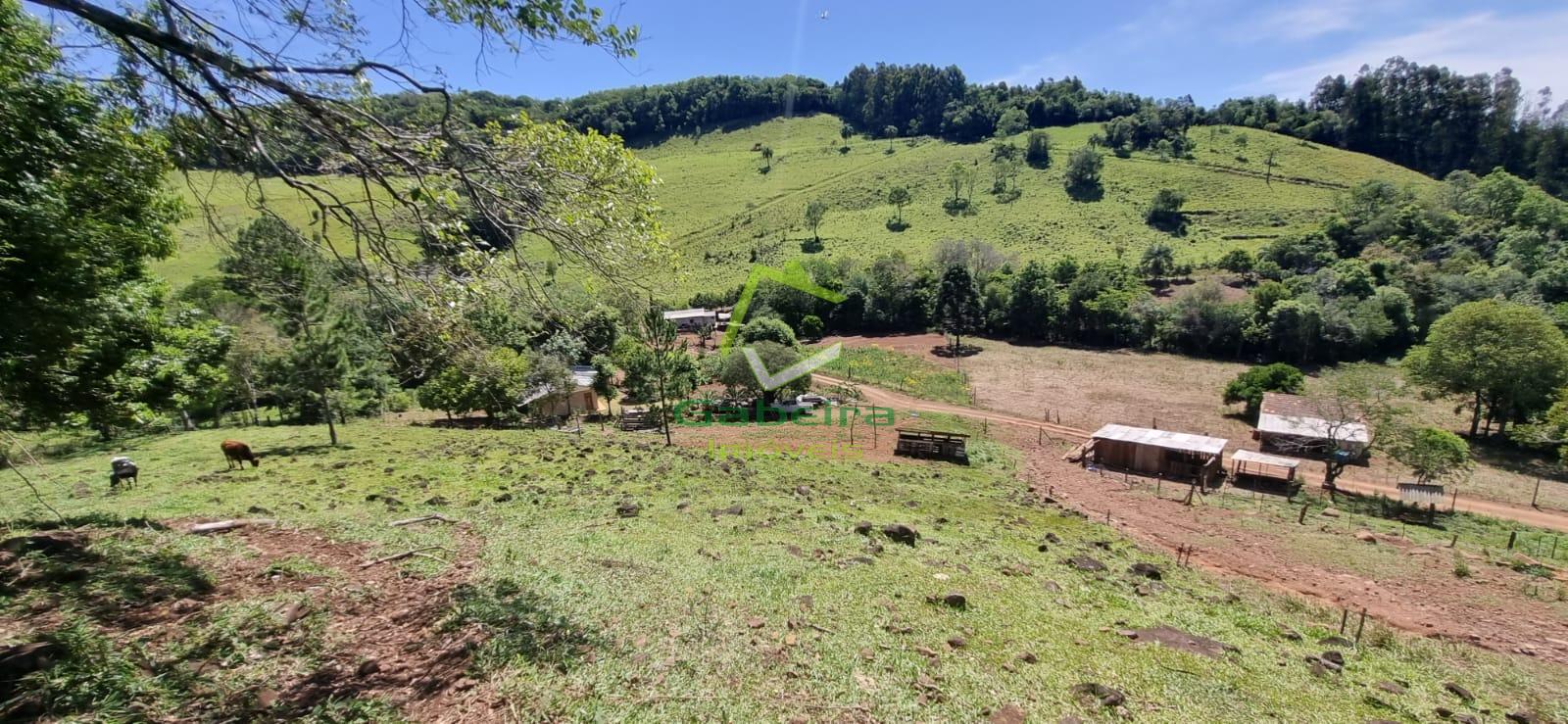 Gabeira Imveis em Coronel Vivida PR