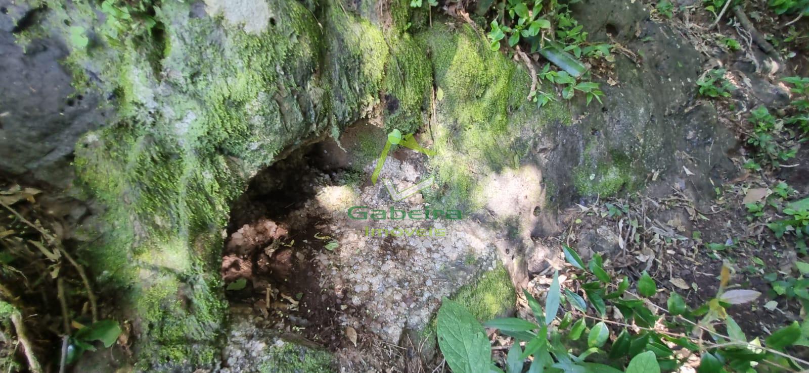 Gabeira Imveis em Coronel Vivida PR