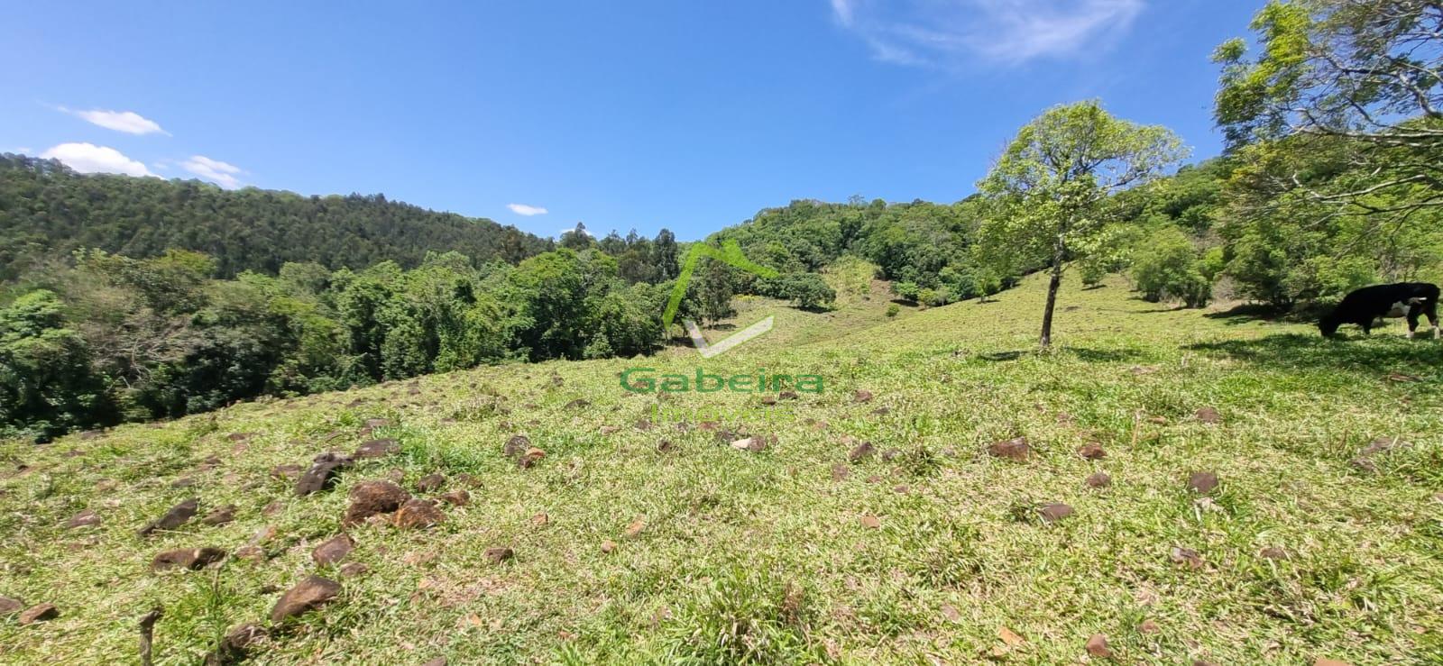 Gabeira Imveis em Coronel Vivida PR