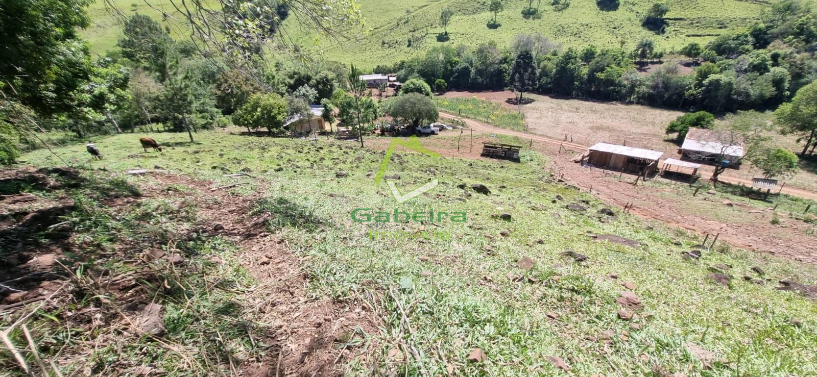 Gabeira Imveis em Coronel Vivida PR