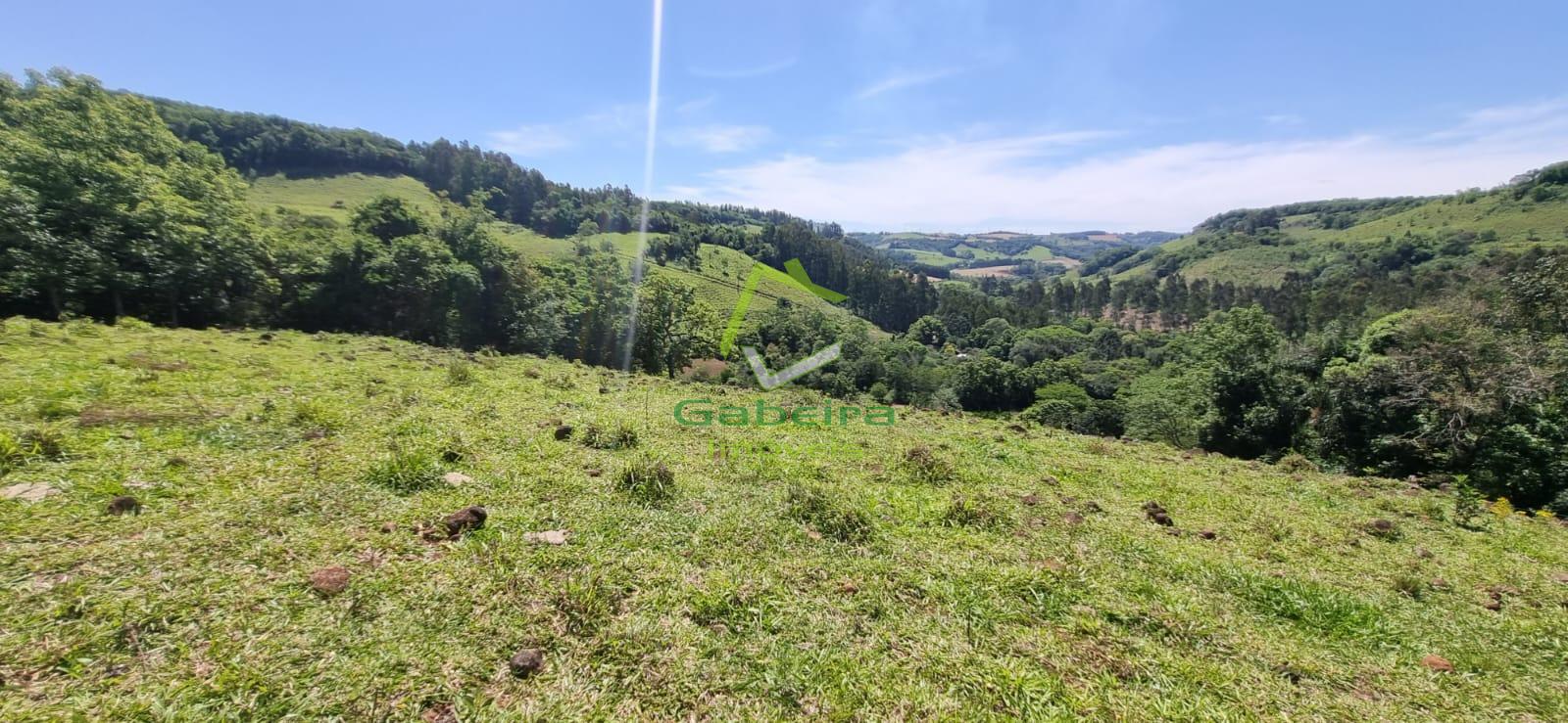 Gabeira Imveis em Coronel Vivida PR