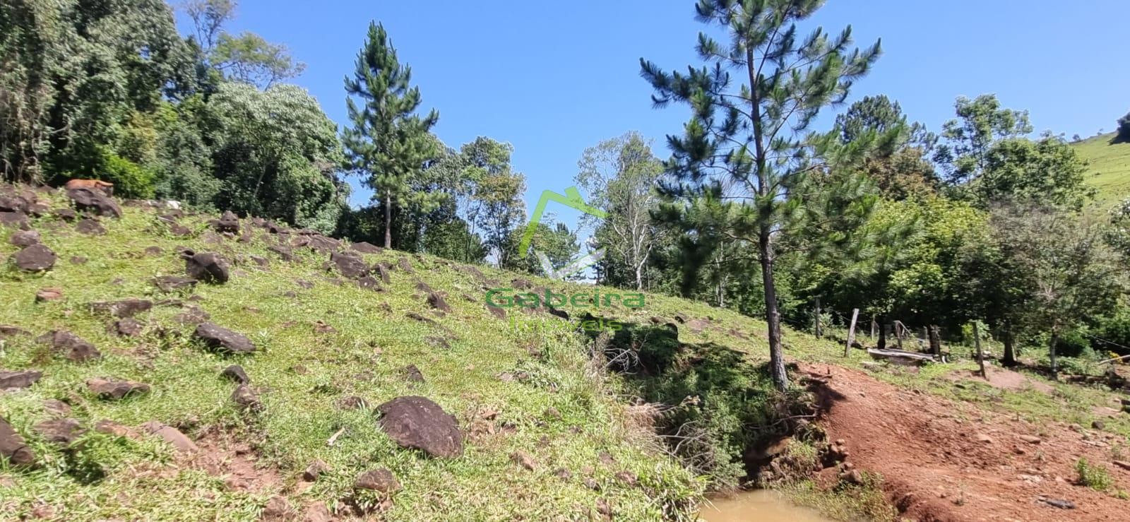 Gabeira Imveis em Coronel Vivida PR
