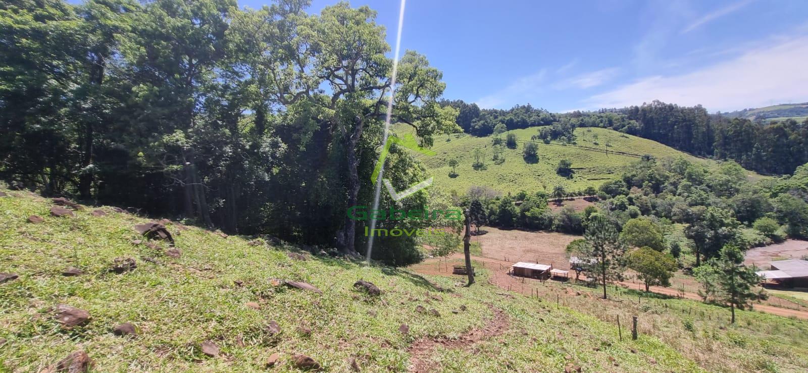 Gabeira Imveis em Coronel Vivida PR