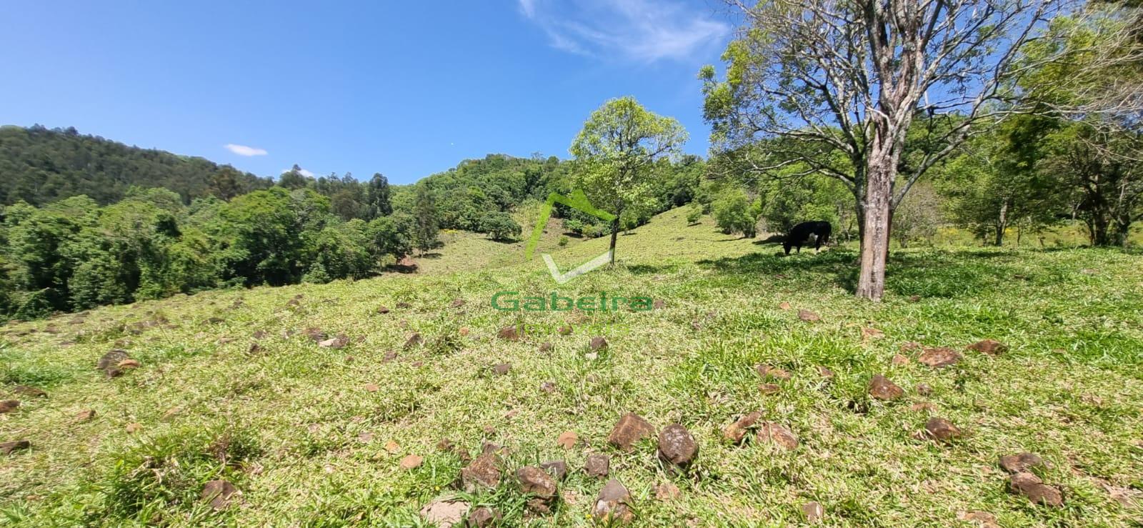 Gabeira Imveis em Coronel Vivida PR