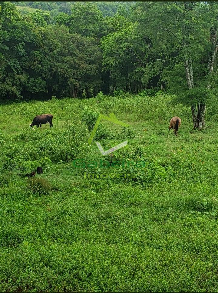 Gabeira Imveis em Coronel Vivida PR