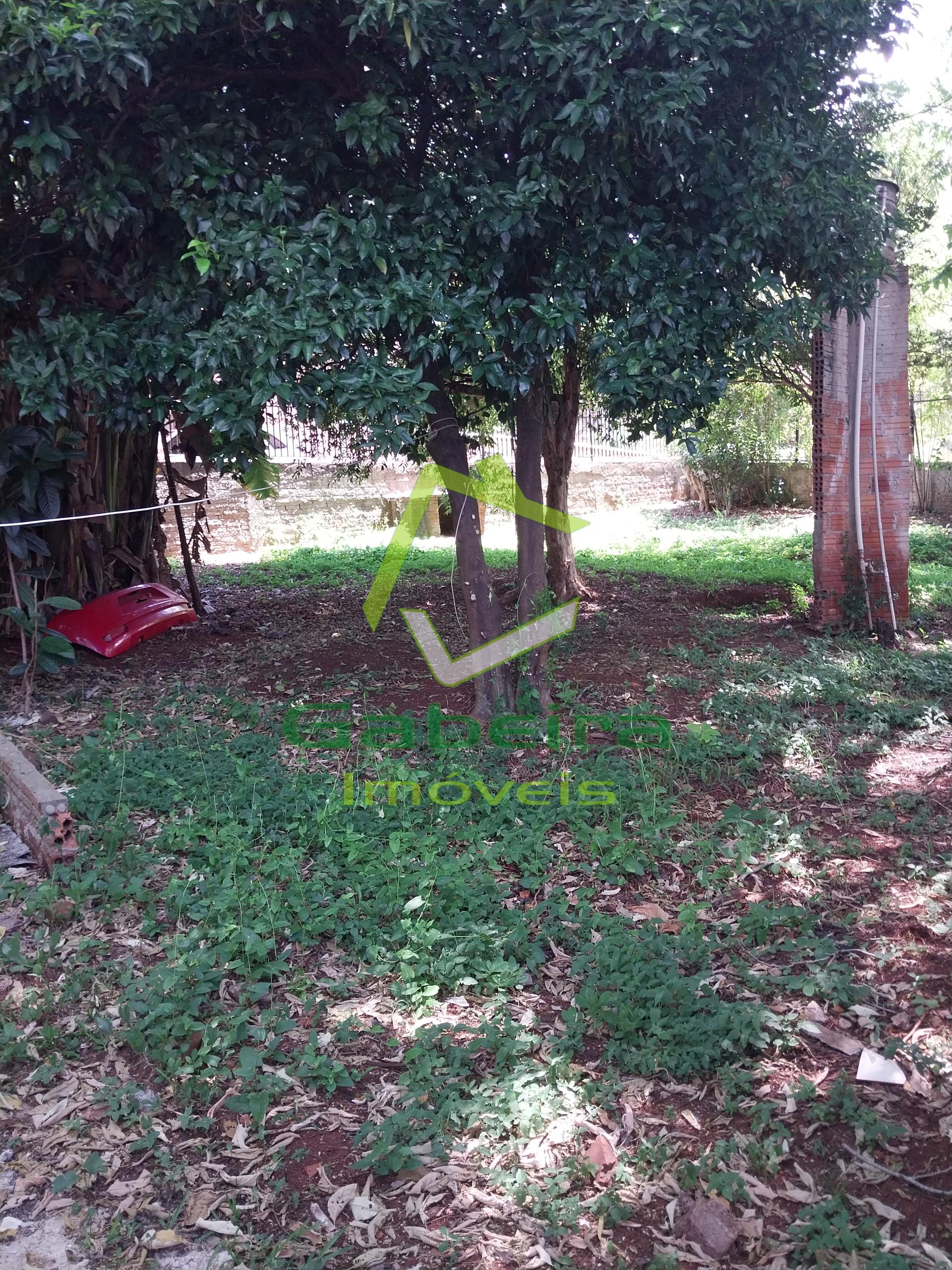 Gabeira Im�veis em Coronel Vivida PR