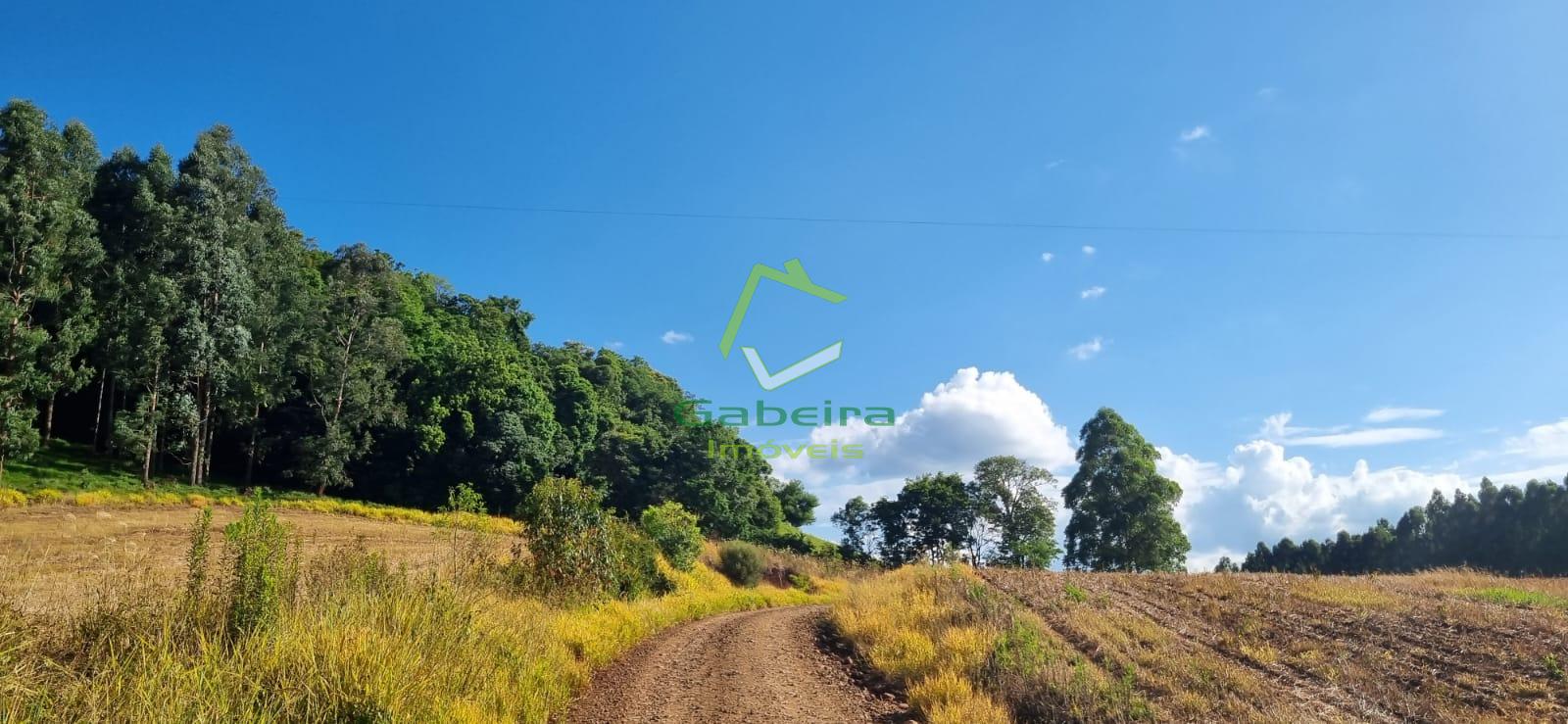 Chcara  venda, BERGAMASCHI, CORONEL VIVIDA - PR