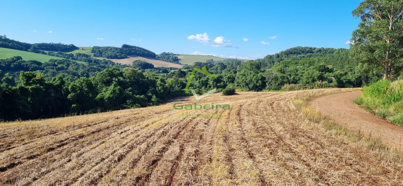 Gabeira Imveis em Coronel Vivida PR