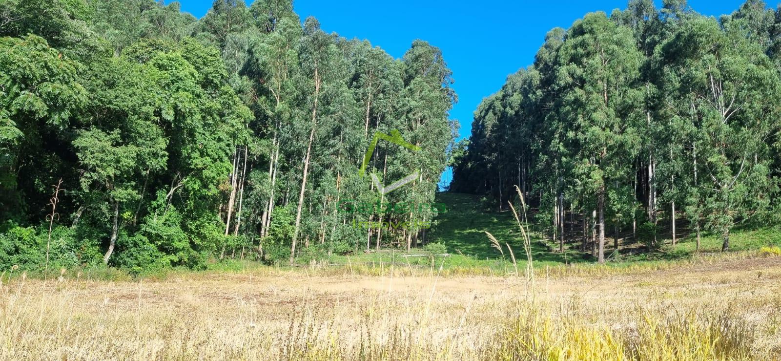 Gabeira Imveis em Coronel Vivida PR
